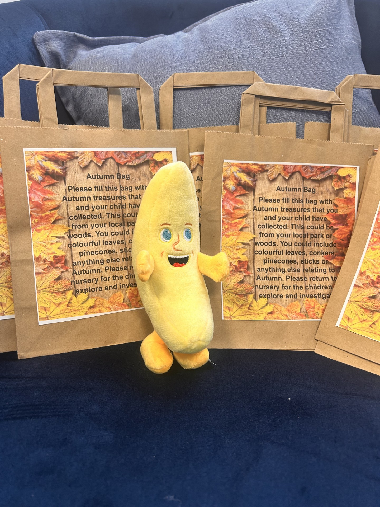 Home Learning Bags